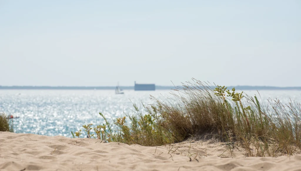 AdobeStock 242402660