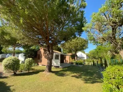 Mobil-home - Chalet Evasion 2 chambres – 2026