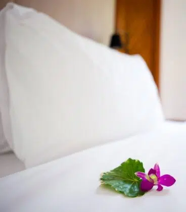 Draps Plats Blancs 898x1024 1